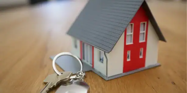 What do Conveyancers Do